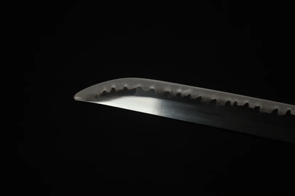 Sandai Kitetsu Katana Sword